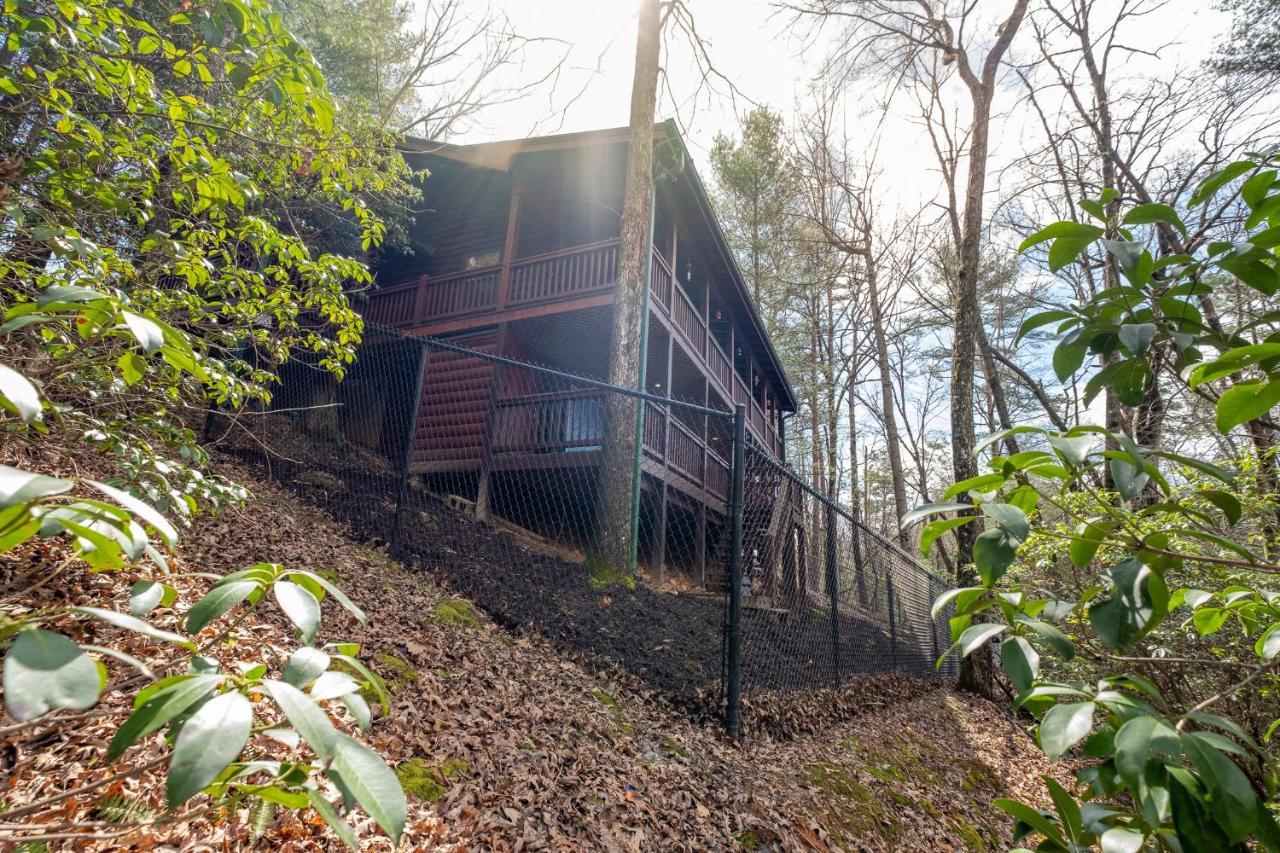 Three Dog Night - Pet-Friendly Cabin With Hot Tub Blue Ridge Exterior foto