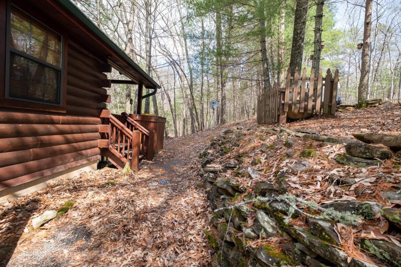 Three Dog Night - Pet-Friendly Cabin With Hot Tub Blue Ridge Exterior foto